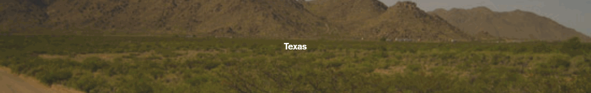 TexasPageHeader